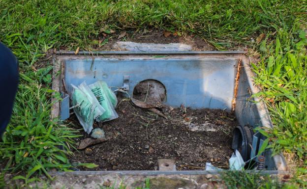 Trampa semienterrada para las ratas negras, más vinculadas a parques y zonas de naturaleza. 