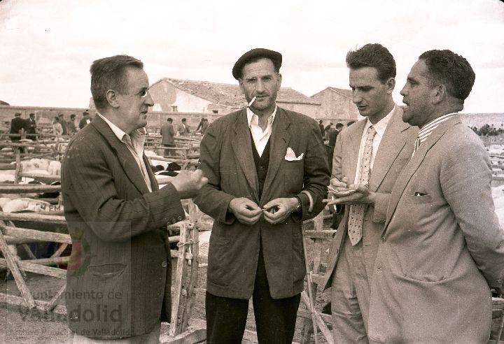 Fotos: Estampas del Valladolid antiguo (XLV): así eran las ferias de ganado de Medina del Campo en los años 50