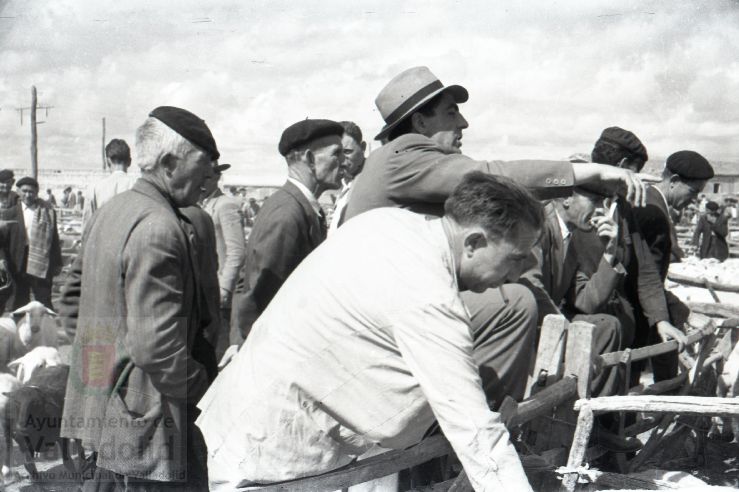 Fotos: Estampas del Valladolid antiguo (XLV): así eran las ferias de ganado de Medina del Campo en los años 50