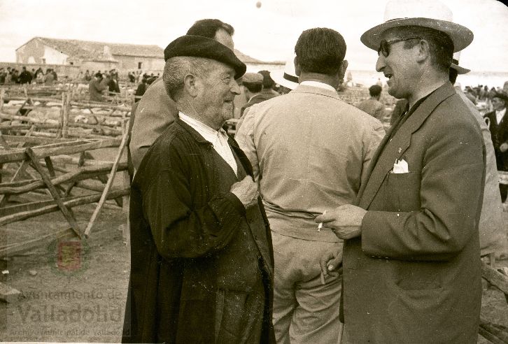 Fotos: Estampas del Valladolid antiguo (XLV): así eran las ferias de ganado de Medina del Campo en los años 50