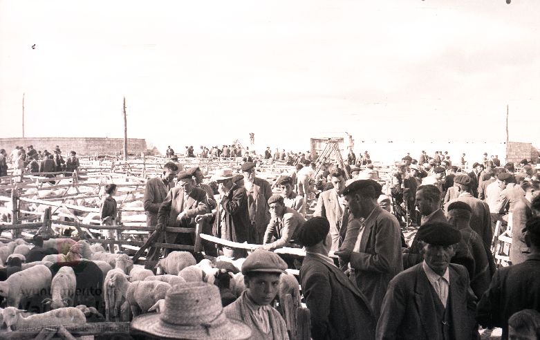 Fotos: Estampas del Valladolid antiguo (XLV): así eran las ferias de ganado de Medina del Campo en los años 50