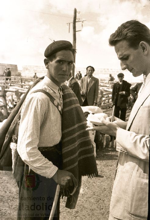 Fotos: Estampas del Valladolid antiguo (XLV): así eran las ferias de ganado de Medina del Campo en los años 50