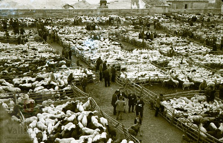 Fotos: Estampas del Valladolid antiguo (XLV): así eran las ferias de ganado de Medina del Campo en los años 50