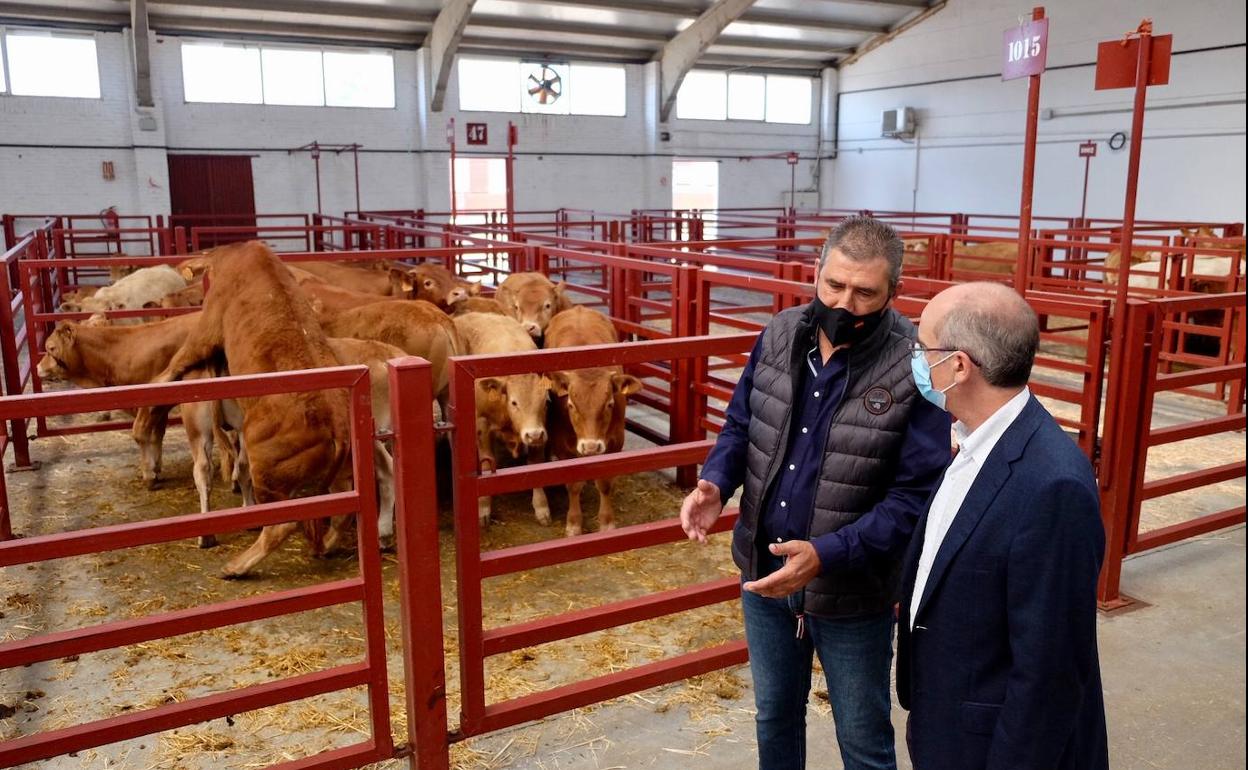 El presidente de la Diputación, Javier Iglesias, y el concejal Julián Barrera, visitan el mercado de ganado.
