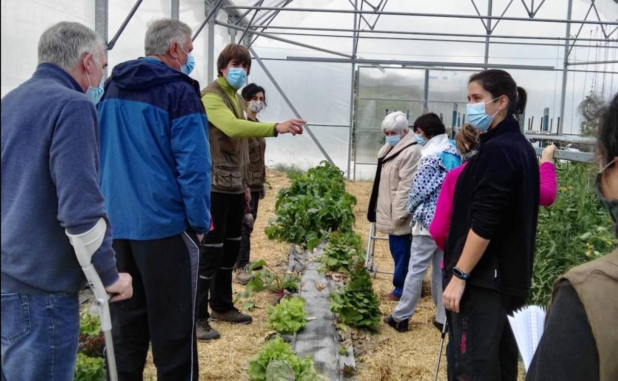 Actividad hortícola organizada por Adacebur para sus socios.