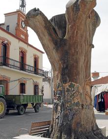 Imagen secundaria 2 - Arriba, verja de entrada a la iglesia de la Natividad; uno de los cruceros situados por la localidad y la vieja olma tallada con la Casa Consistorial al fondo.