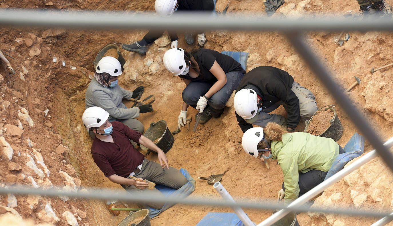 Fotos: Arranca la campaña de excavaciones en los yacimientos de Atapuerca