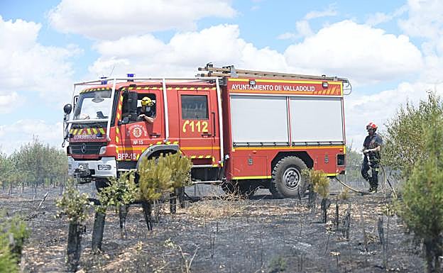 Los Bomberos refrescan el terreno afectado por el incendio en el Bosque de los Sueños. 
