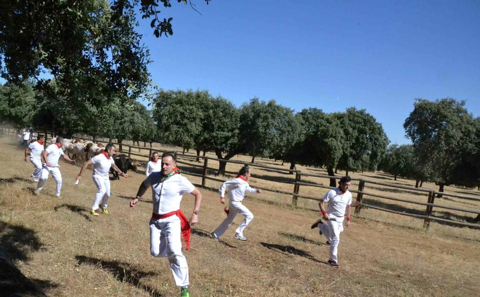 San Fermín se traslada al campo charro