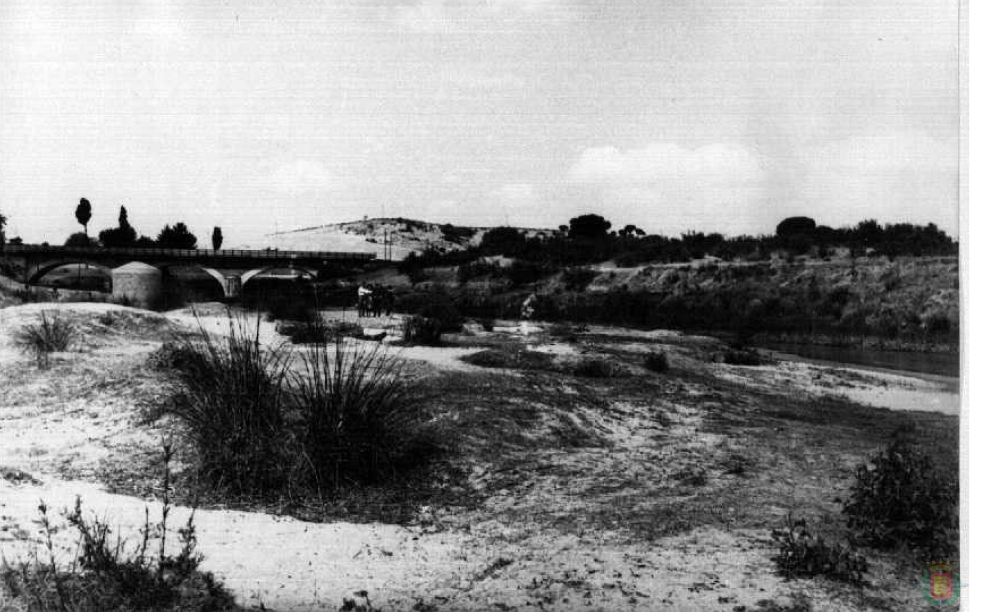 Puente de hierro de Viana de Cega, donde se produjo el trágico suceso. 