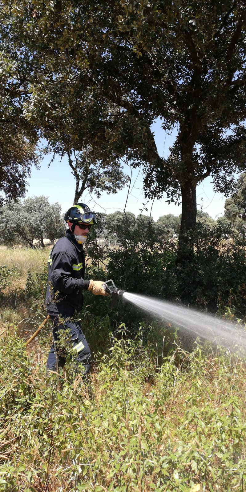 Fotos: Activo un incendio en la localidad vallisoletana de Villalba de los Alcores
