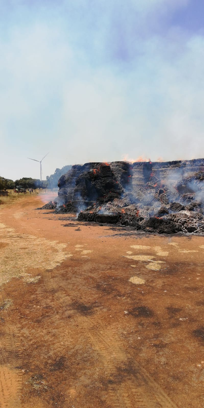 Fotos: Activo un incendio en la localidad vallisoletana de Villalba de los Alcores