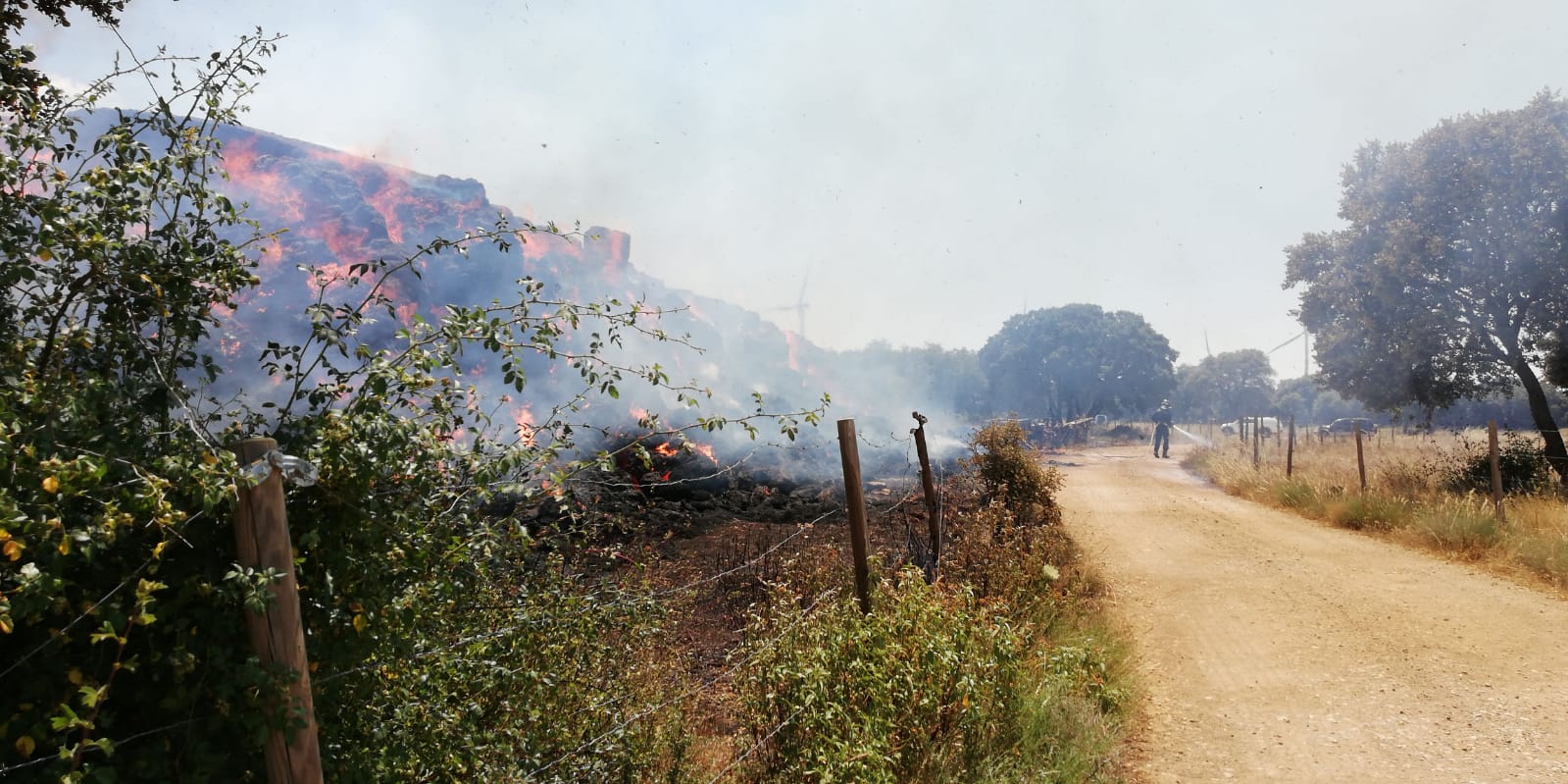 Fotos: Activo un incendio en la localidad vallisoletana de Villalba de los Alcores