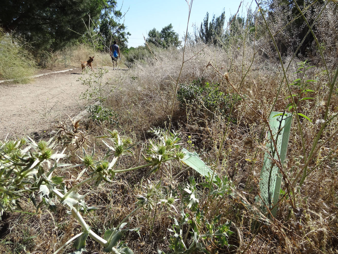 Fotos: Estado de la senda de las Arcas Reales