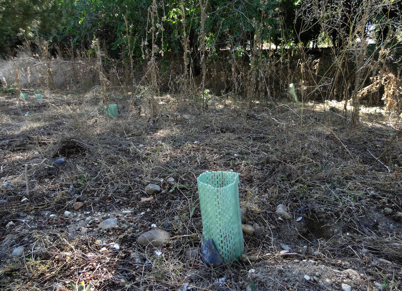 Fotos: Estado de la senda de las Arcas Reales