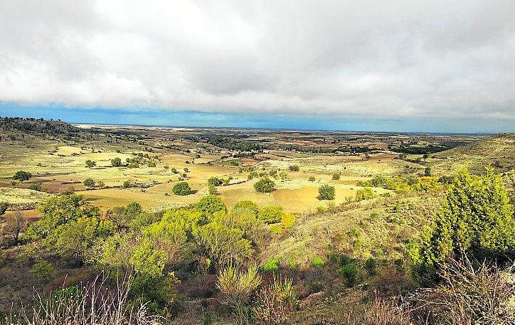 Imagen secundaria 1 - Vistas del municipio y campanario, con el tradicional nido de cigüeña. .