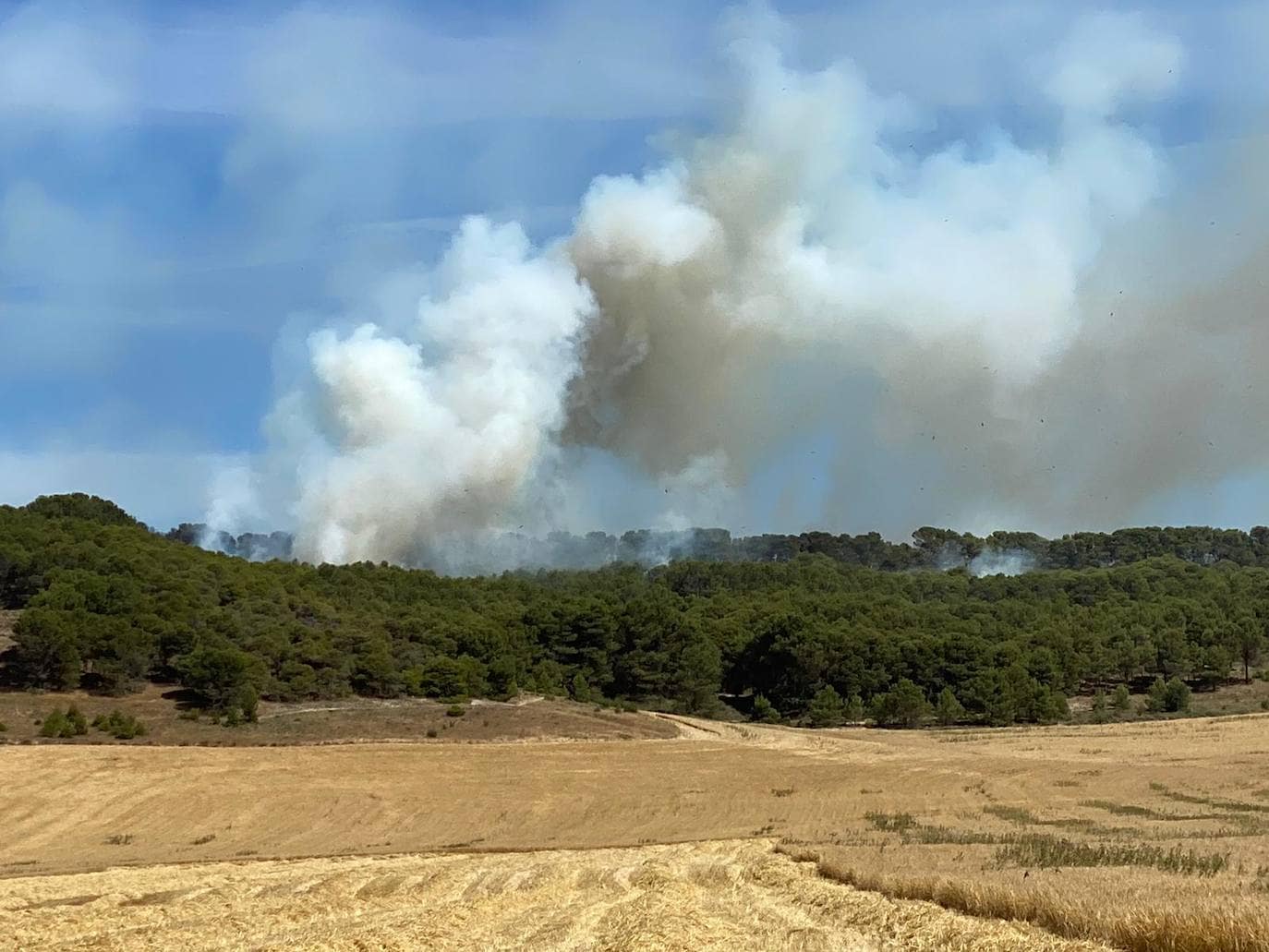 Arde parte del monte de Villagarcía de Campos. 