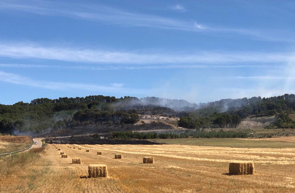 Arde parte del monte de Villagarcía de Campos. 