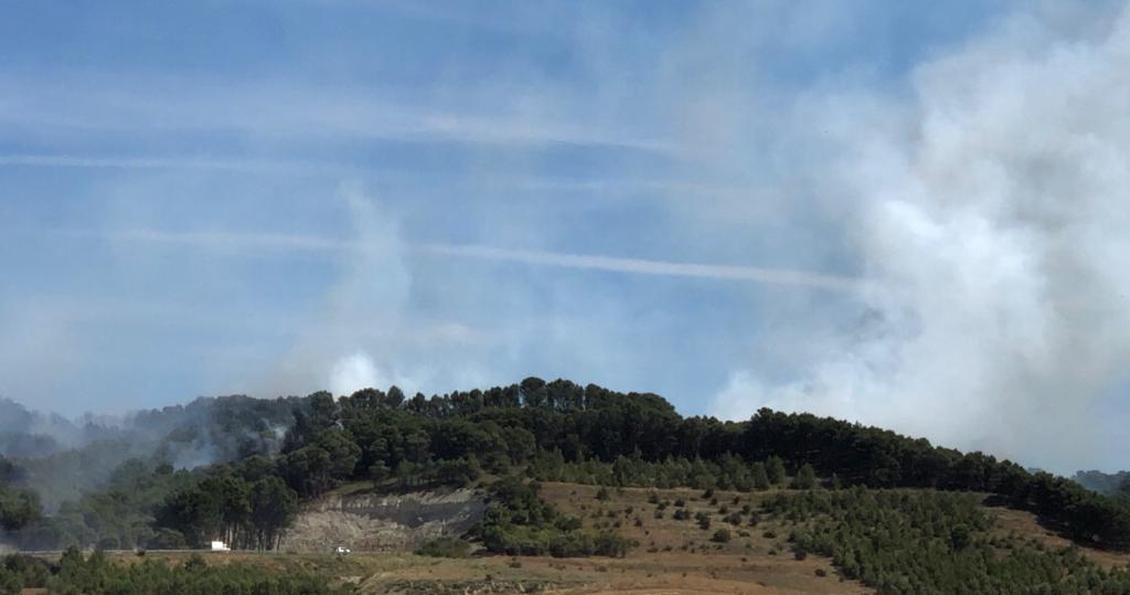 Arde parte del monte de Villagarcía de Campos. 