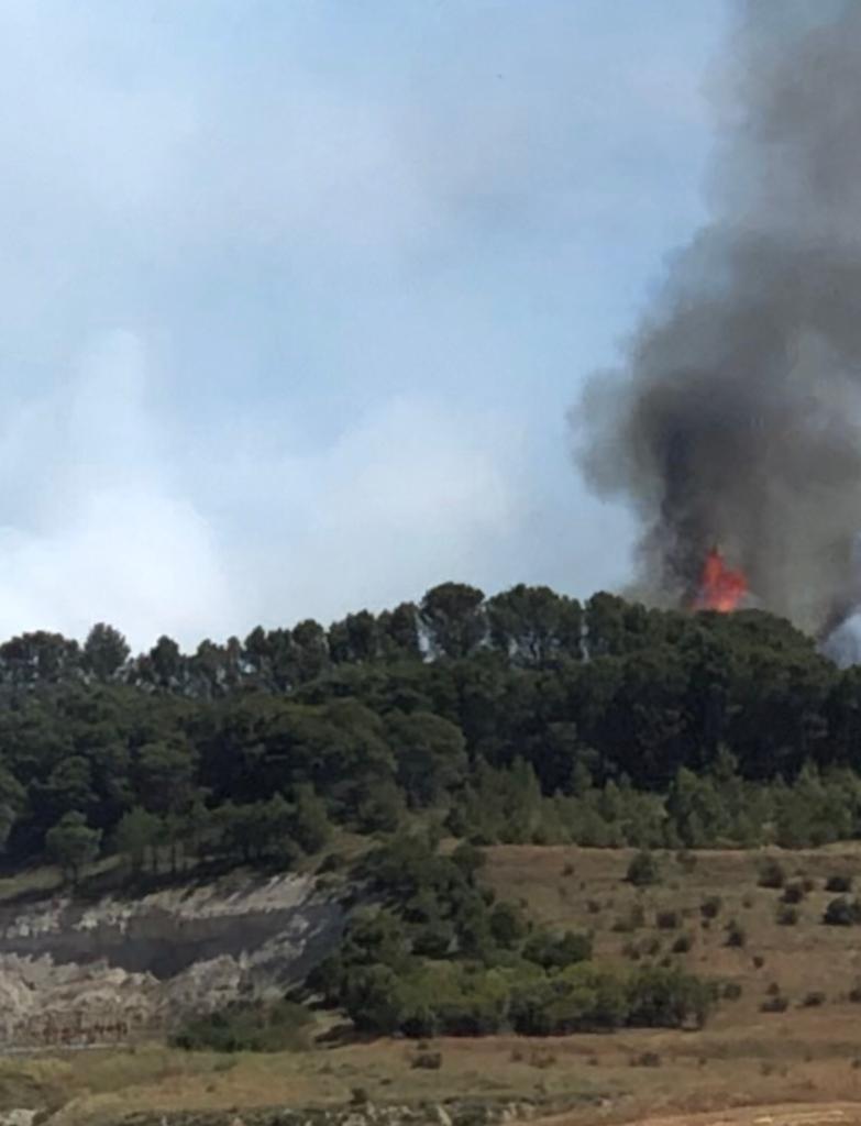 Arde parte del monte de Villagarcía de Campos. 