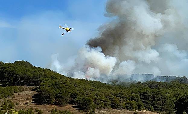 Imagen. Un hidroavión suelta el agua sobre el monte. 