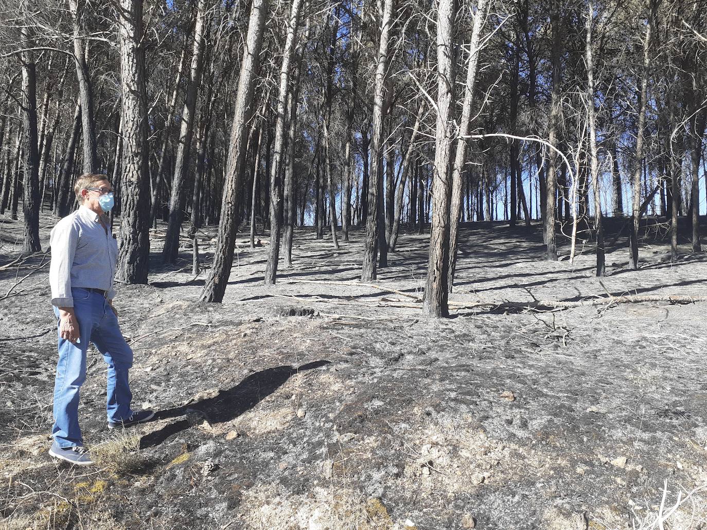 Fotos: Así han quedado el histórico monte de Villagarcía de Campos