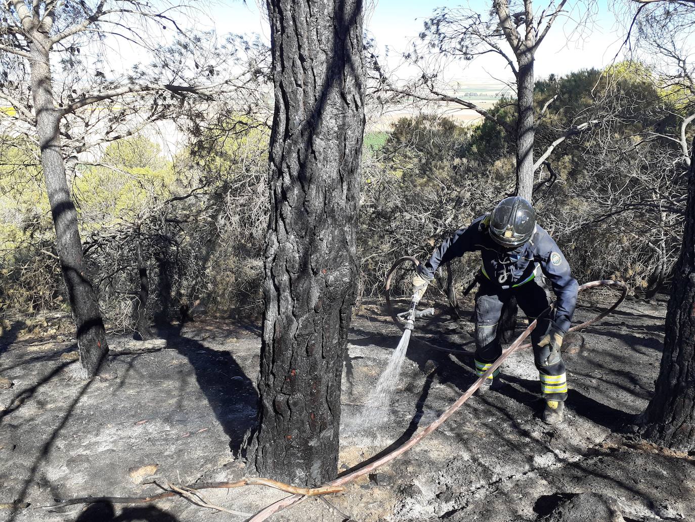 Fotos: Así han quedado el histórico monte de Villagarcía de Campos