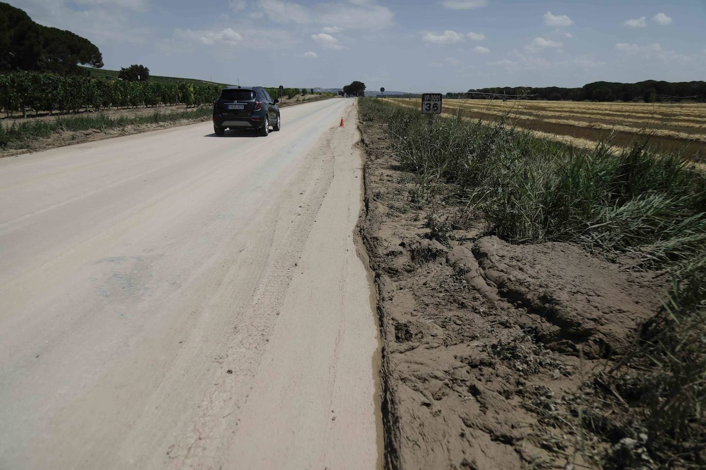 Fotos: Restos de barro en la carretera Pesquera de Duero-Renedo de Esgueva