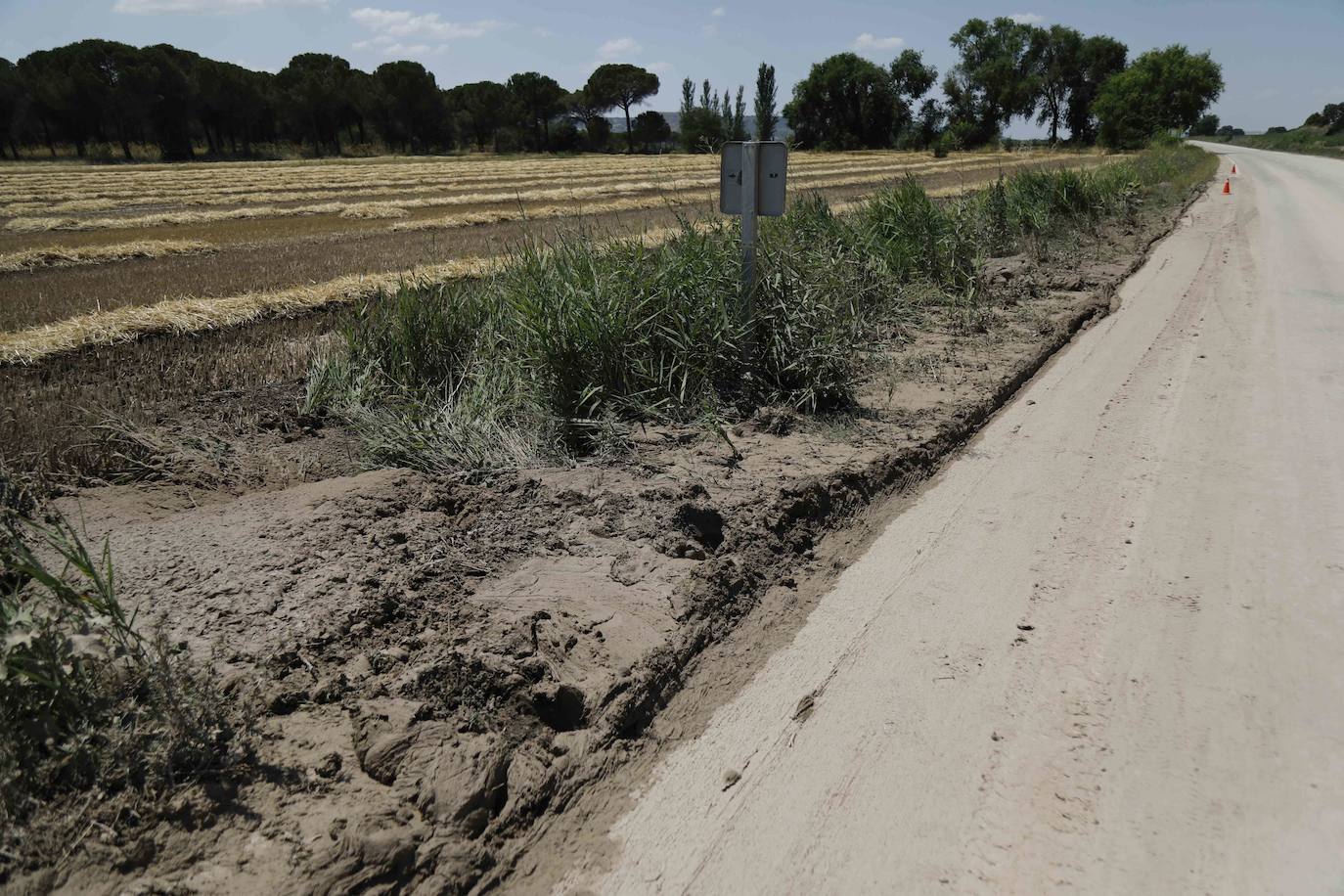 Fotos: Restos de barro en la carretera Pesquera de Duero-Renedo de Esgueva