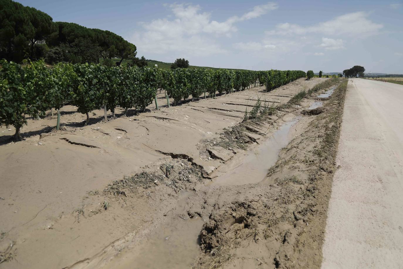 Fotos: Restos de barro en la carretera Pesquera de Duero-Renedo de Esgueva