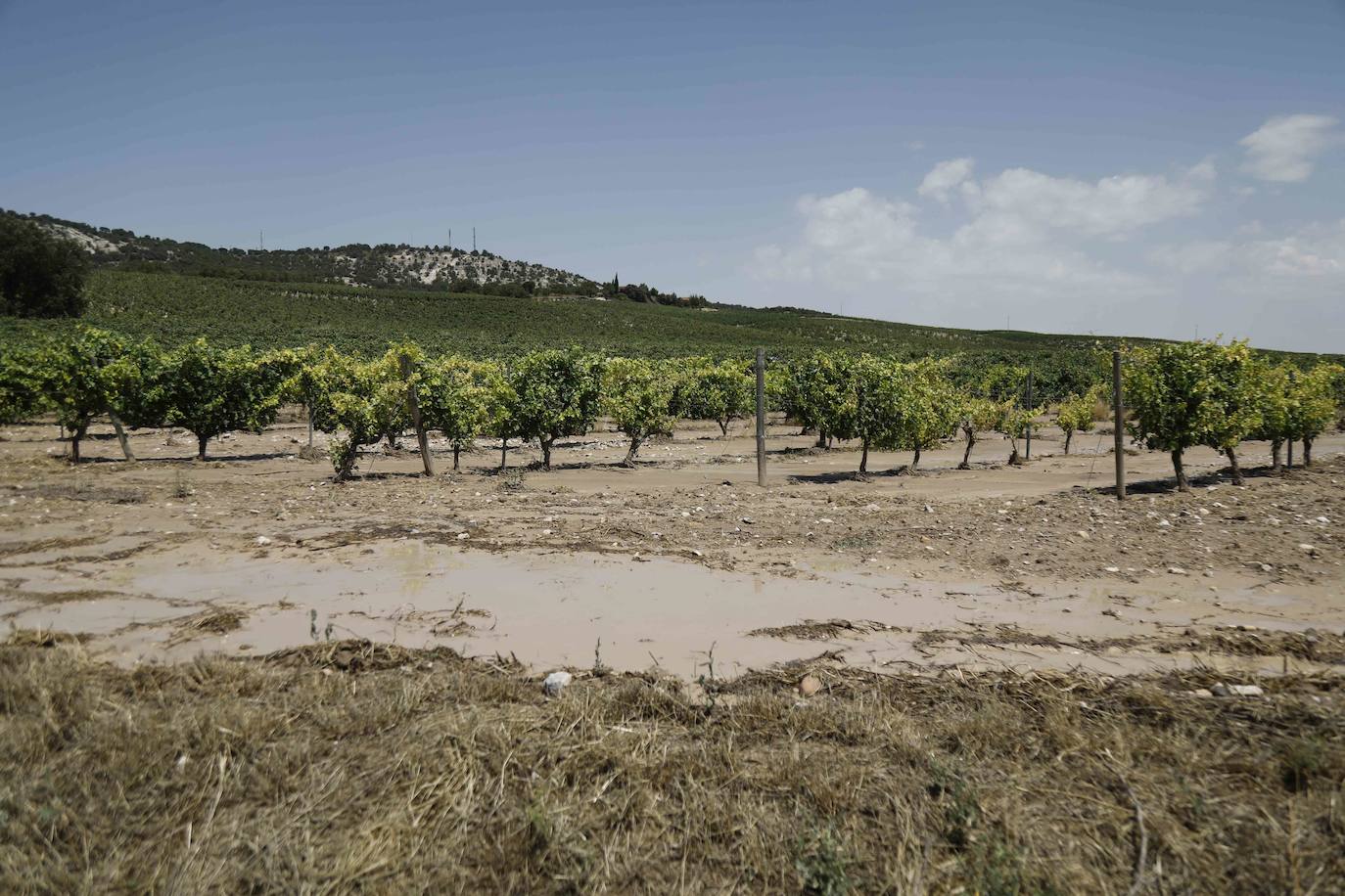 Fotos: Restos de barro en la carretera Pesquera de Duero-Renedo de Esgueva