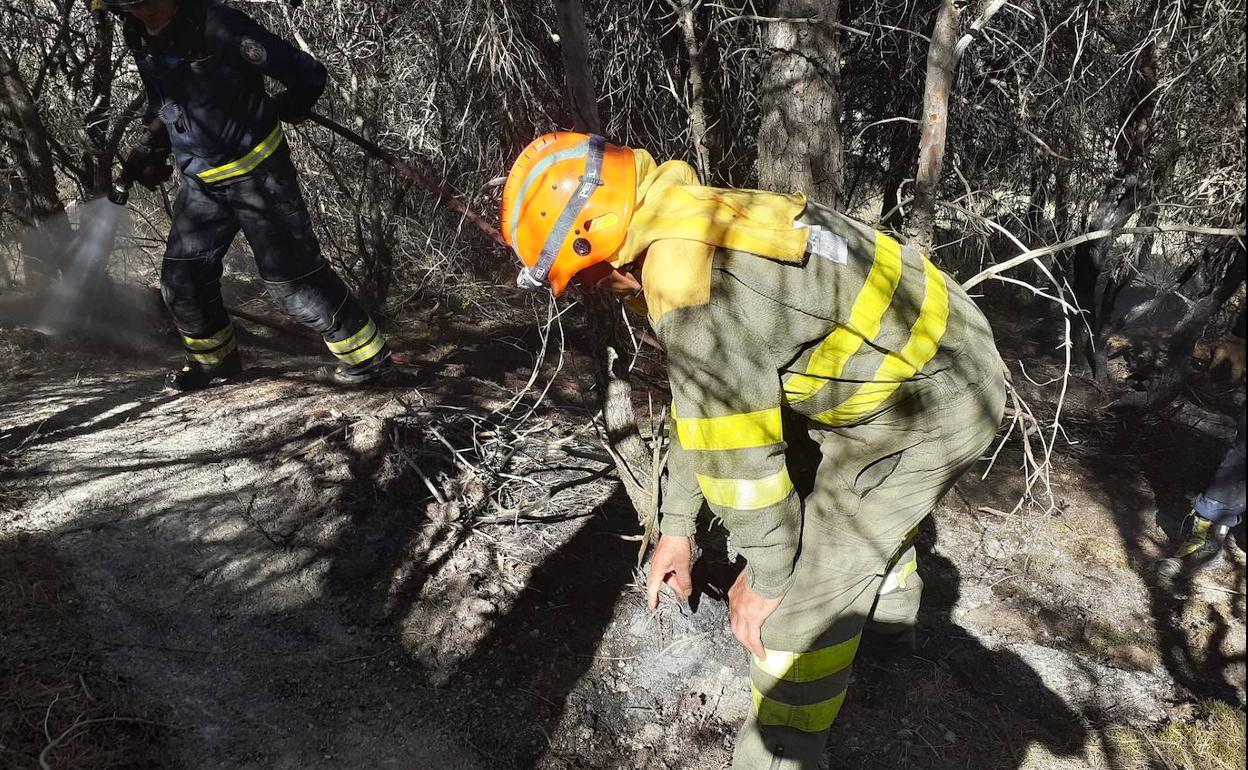 Varios efectivos trabajan en el incendio en Villagarcía de Campos del pasado día 14 de julio.