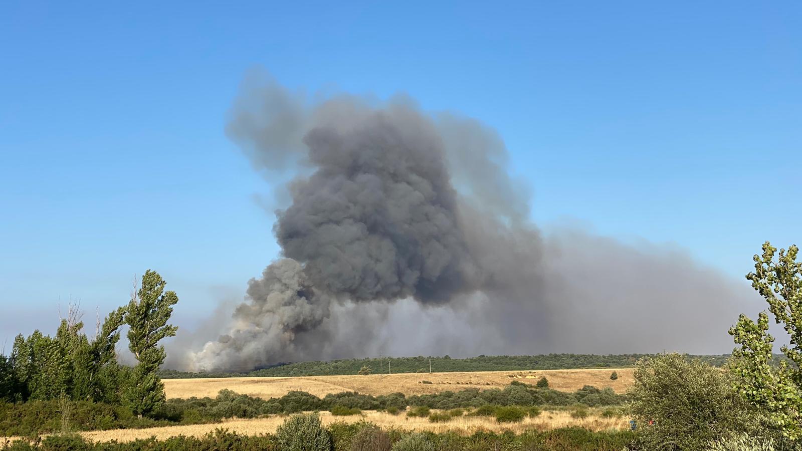 Un gran fuego en Vega de Magaz moviliza a numerosos efectivos por su virulencia | Efectivos de Brif Tabuyo, Rabanal del Camino y Camposagrado, junto al avión de coordinación (ACO) intervienen en la zona.