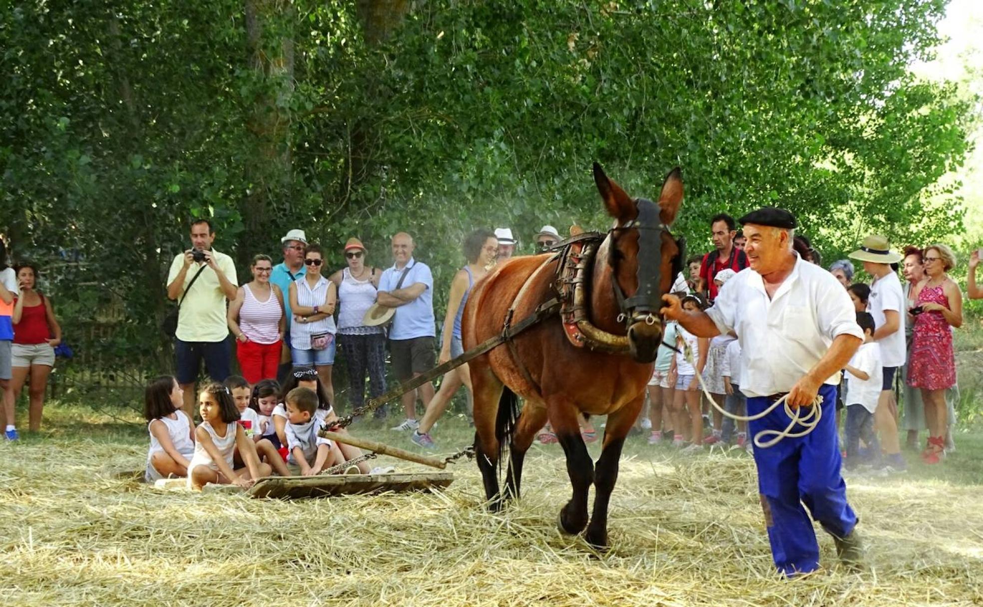 La fiesta de la trilla fue en años anteriores toda una diversión para los más pequeños. 