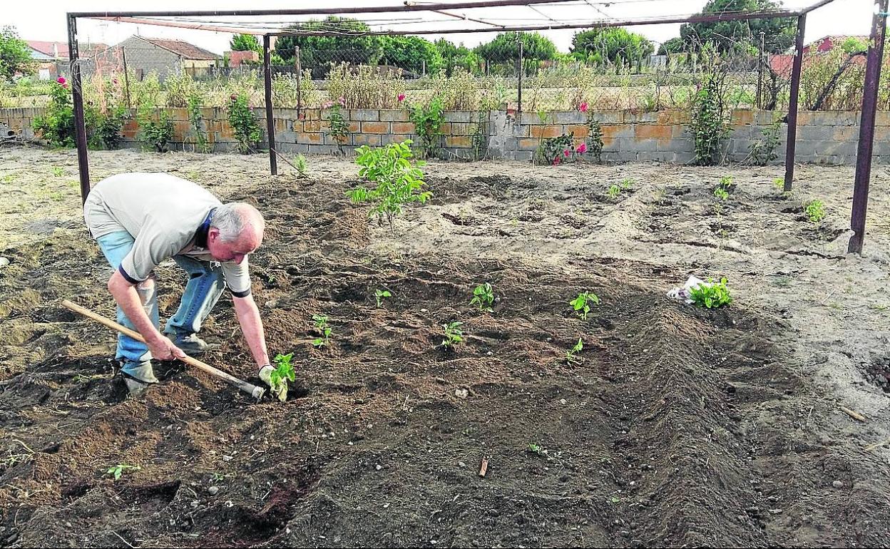 Juanjo trabaja en su huerto a mediados de junio, tras meses sin poder ir.