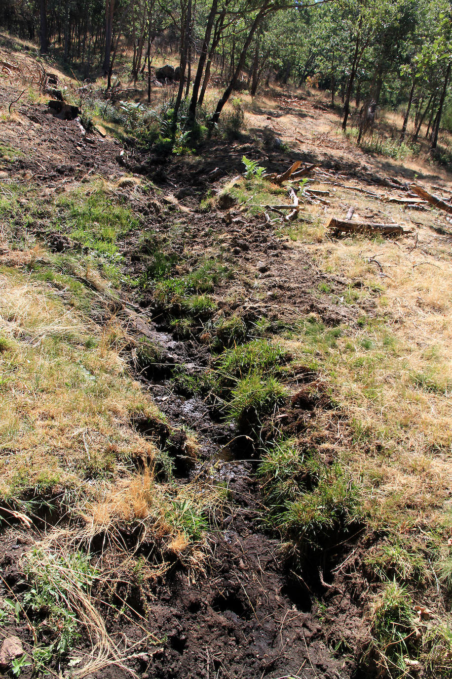 Aquel 4 de agosto en el que ardió Guadarrama. 