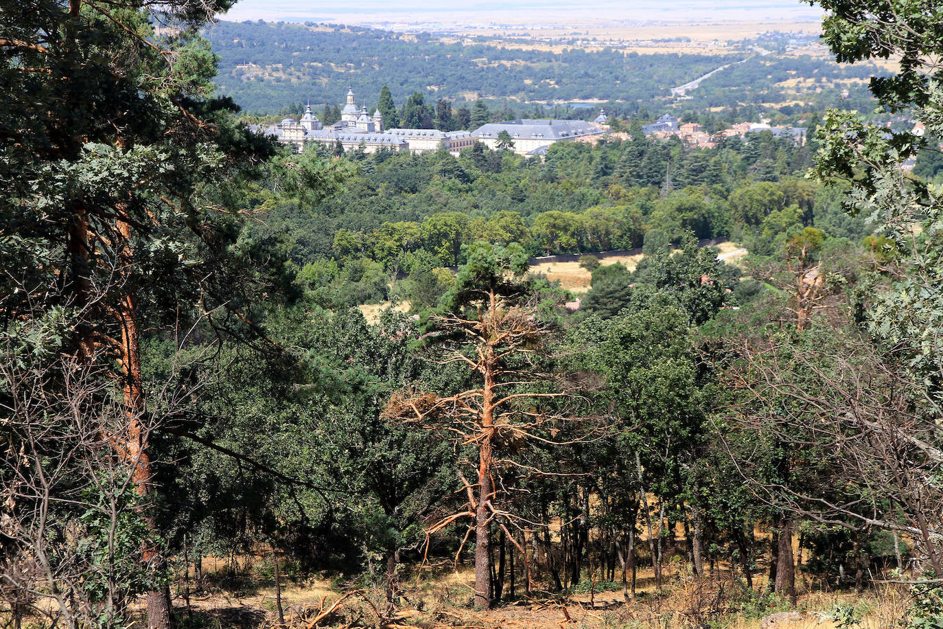 Aquel 4 de agosto en el que ardió Guadarrama. 