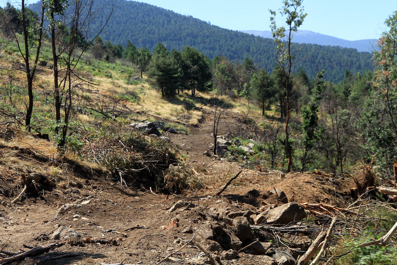 Aquel 4 de agosto en el que ardió Guadarrama. 