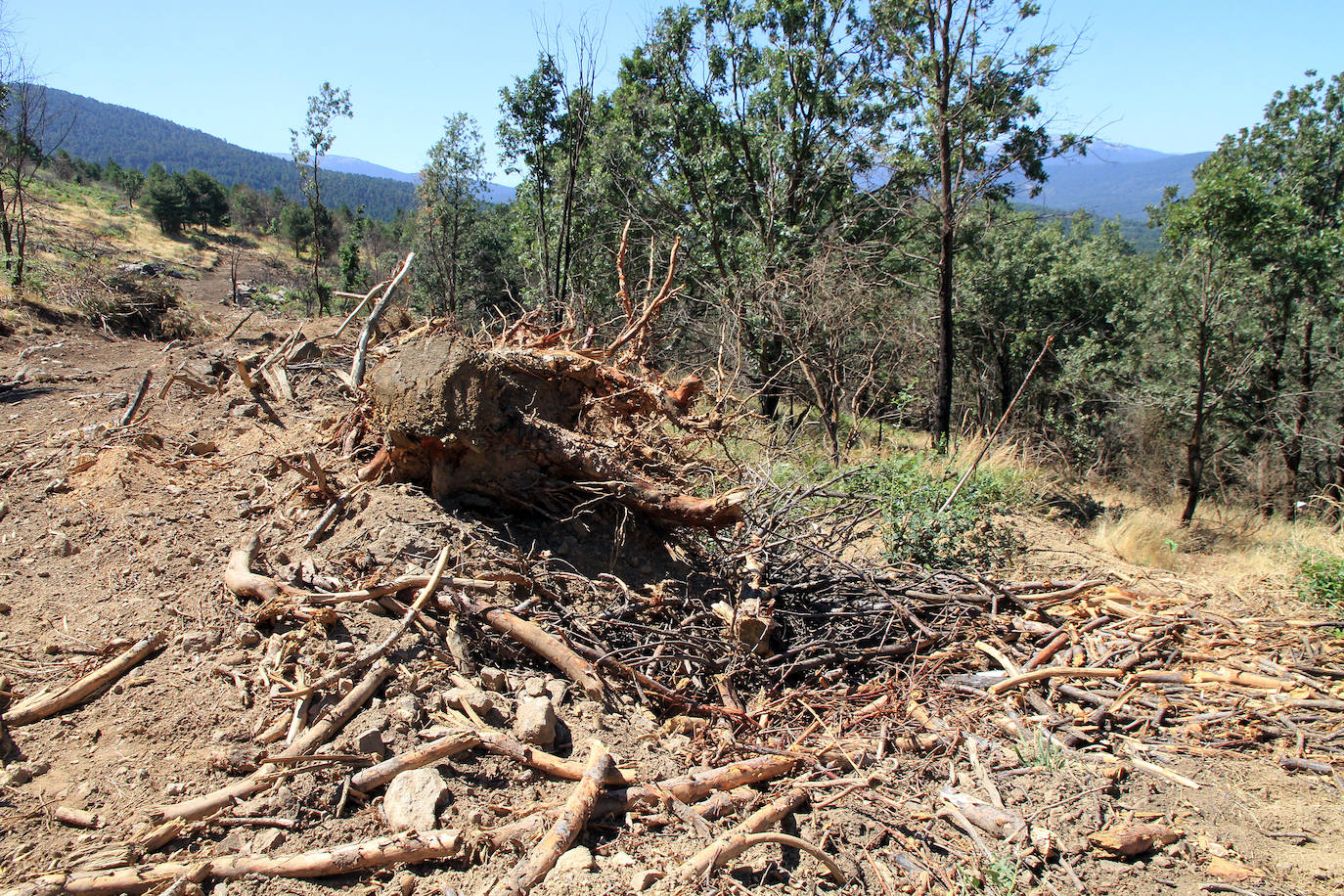 Aquel 4 de agosto en el que ardió Guadarrama. 