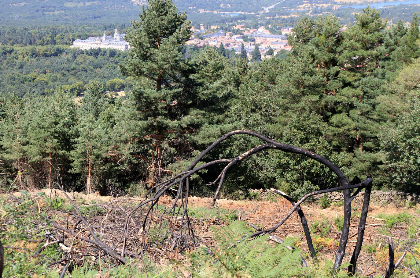 Aquel 4 de agosto en el que ardió Guadarrama. 