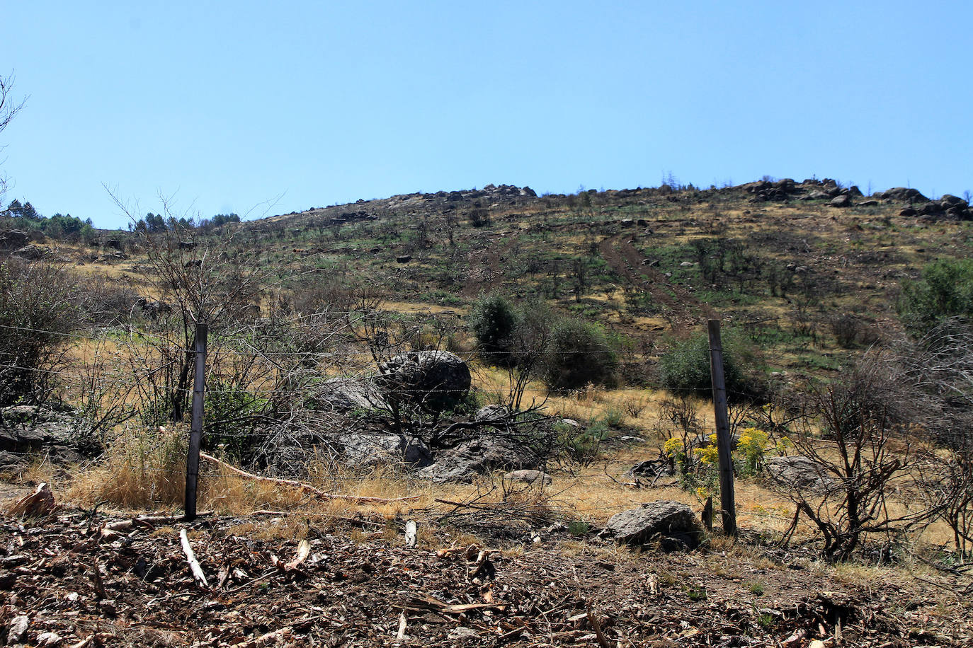 Aquel 4 de agosto en el que ardió Guadarrama. 