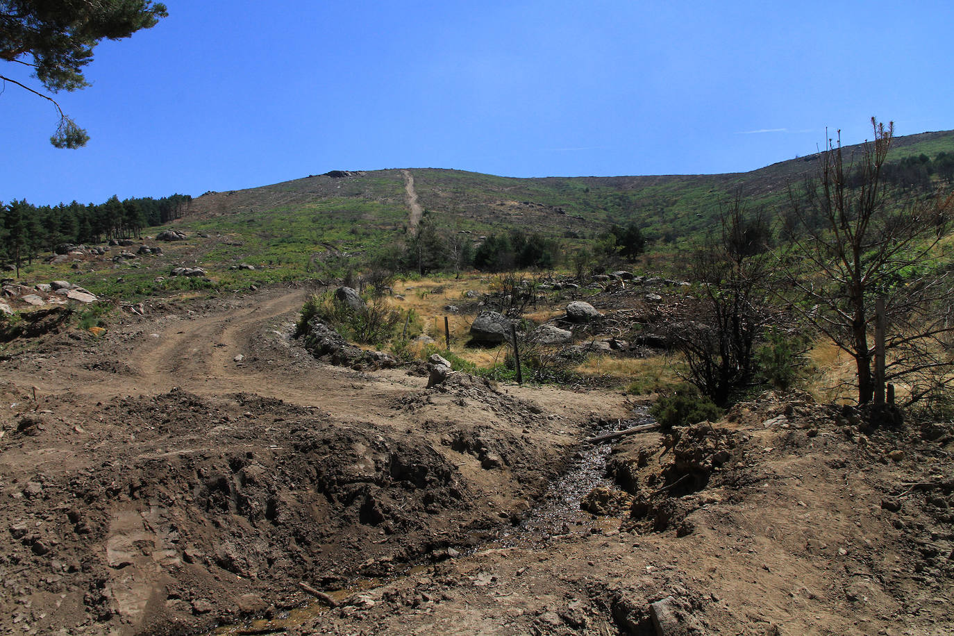 Aquel 4 de agosto en el que ardió Guadarrama. 