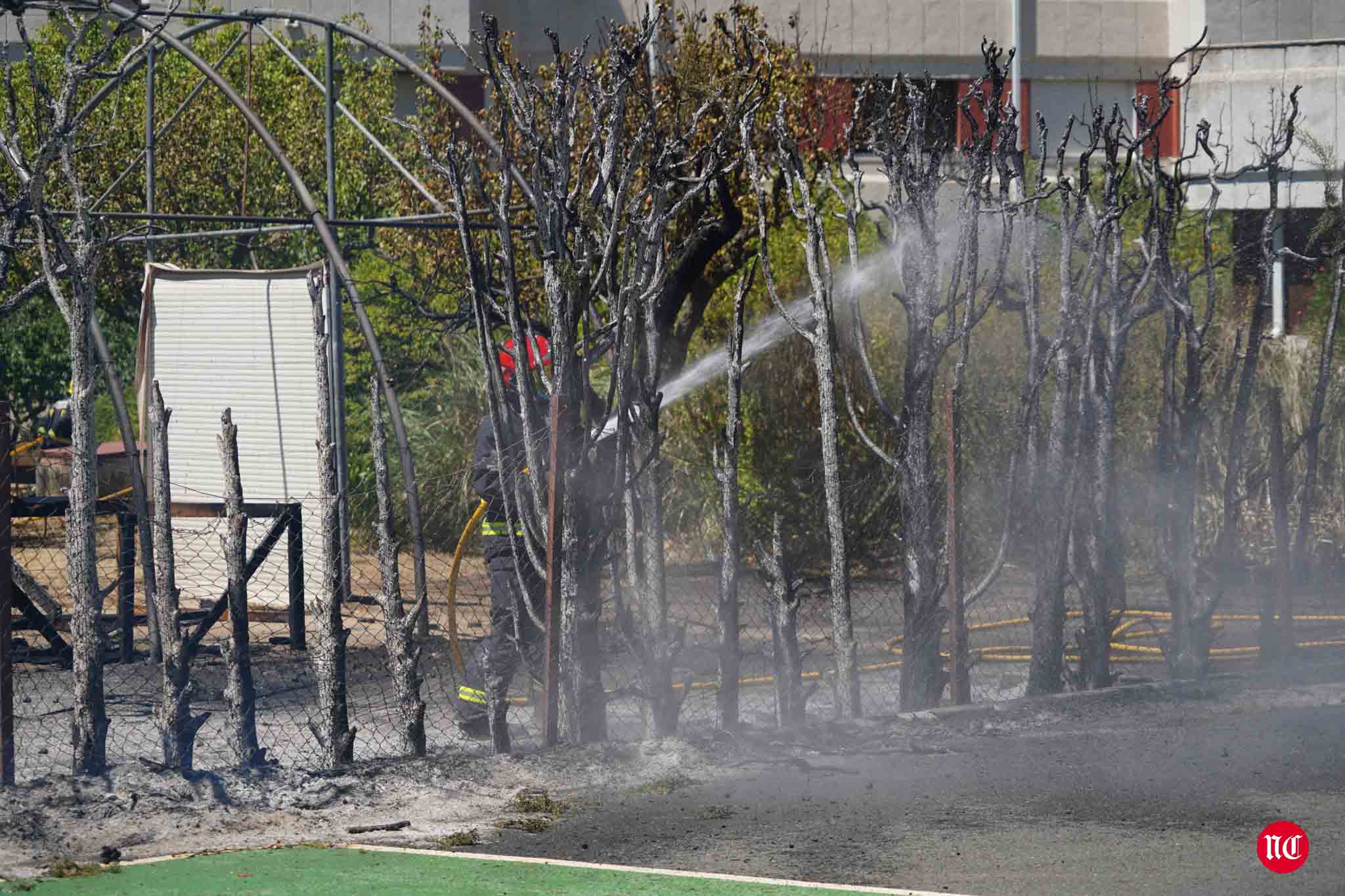 Los bomberos en labores de extinción del incendi.o