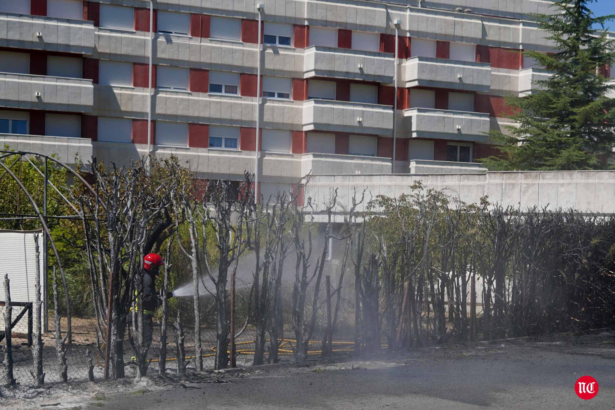 Los bomberos en labores de extinción del incendi.o