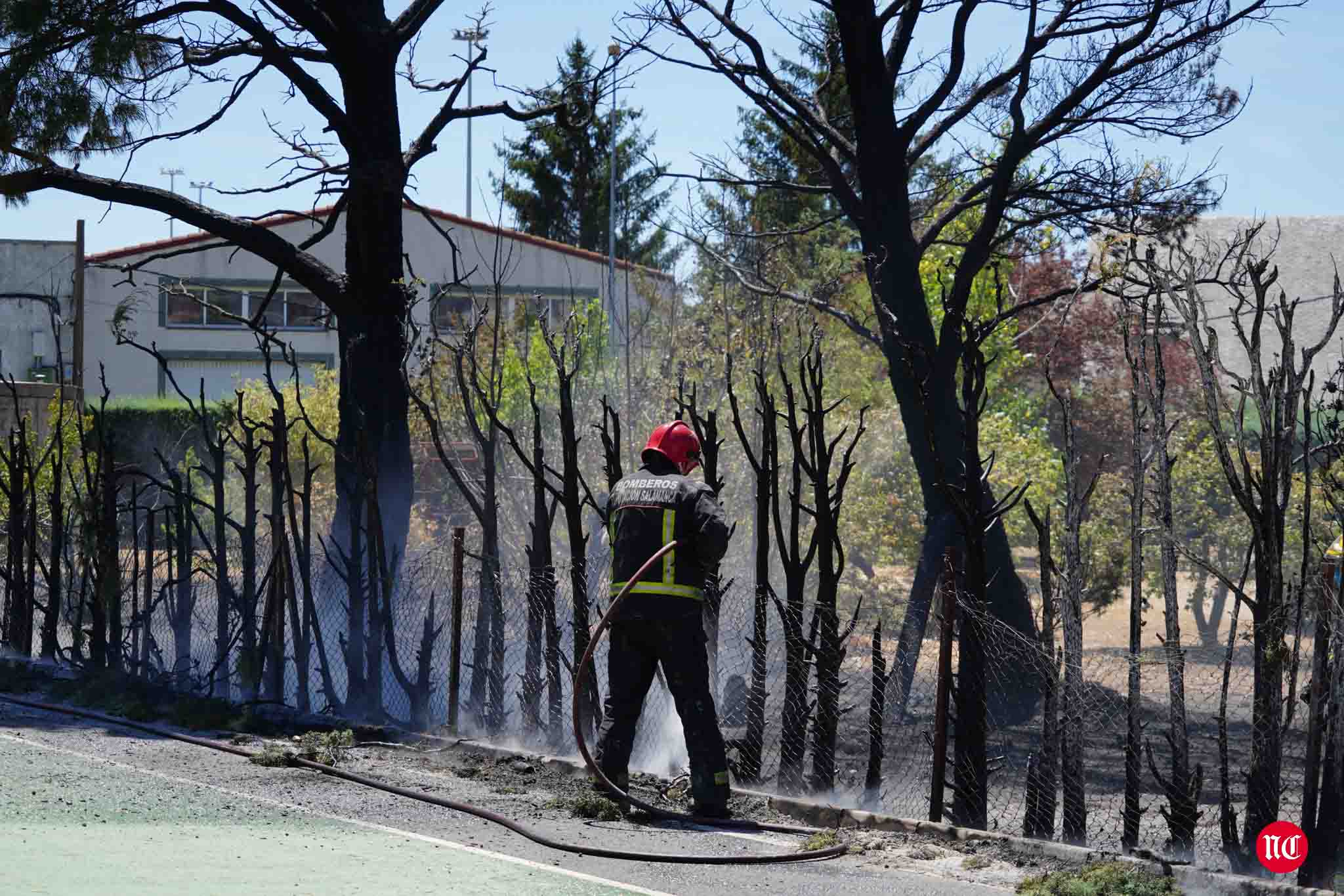Los bomberos en labores de extinción del incendi.o