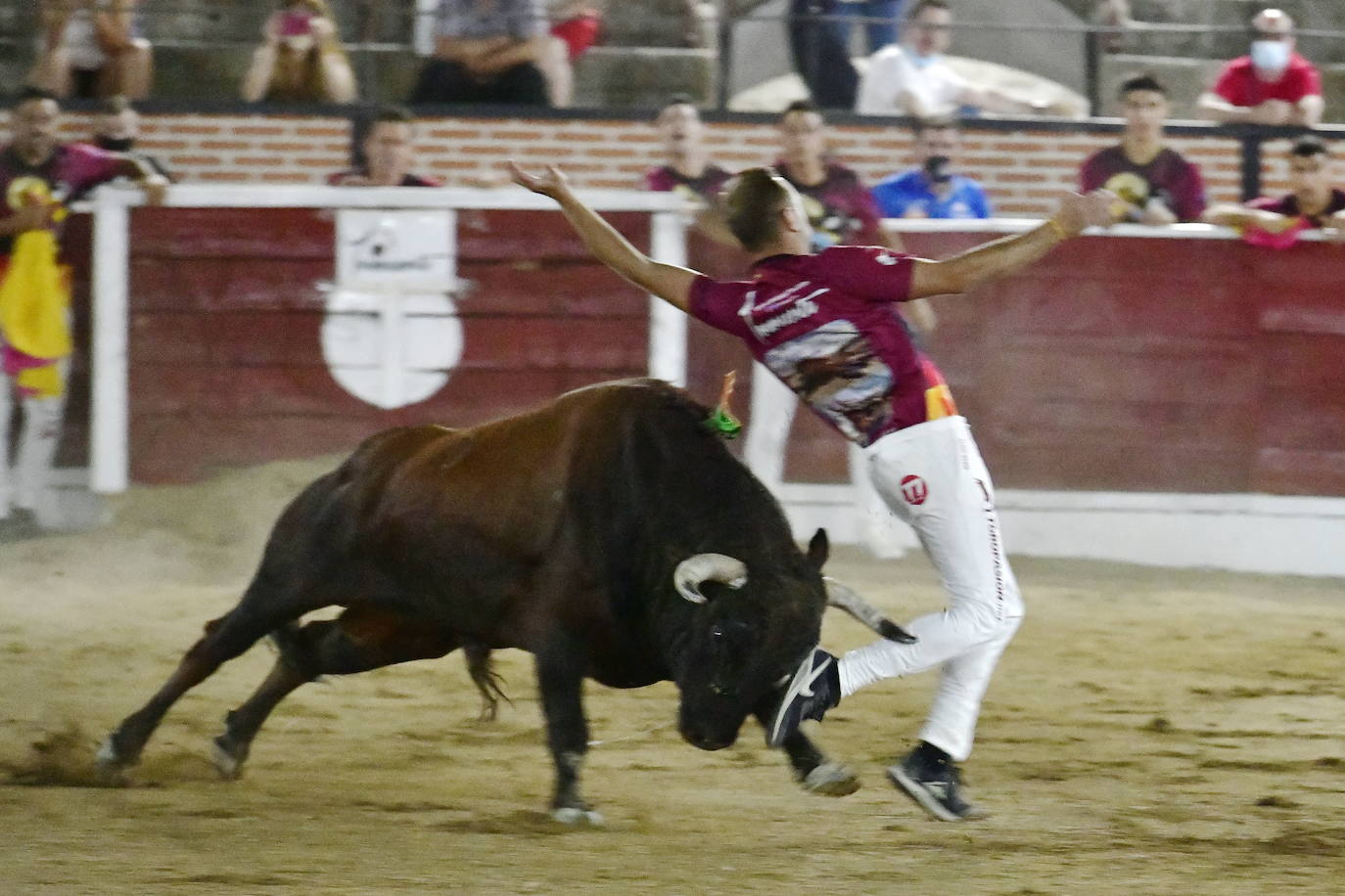 Foto de familia de los recortadores que participaron en el concurso de este viernes en El Espinar. 