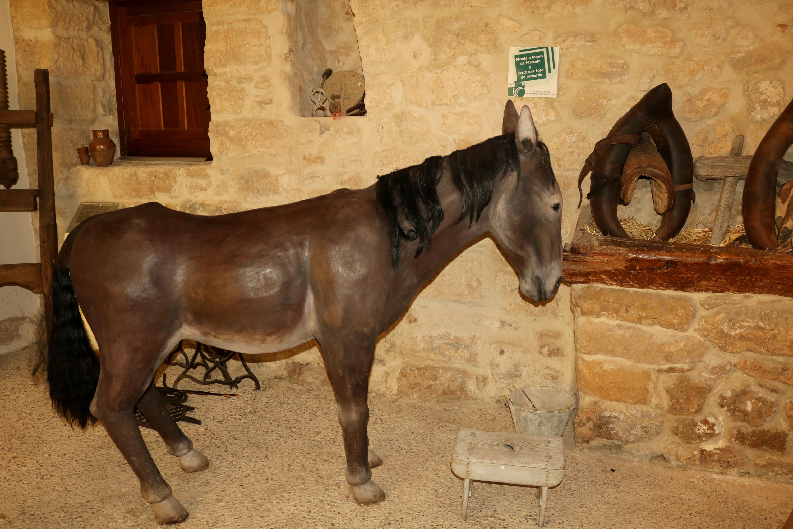 Asistentes a la Ruta Teatralizada por Torquemada