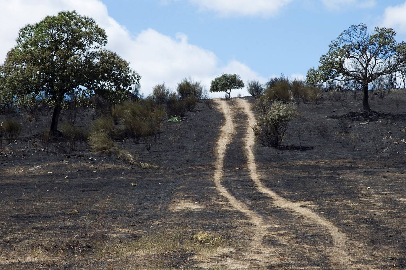 Las llamas han arrasado más de 2.000 hectáreas en la comarca de Aliste