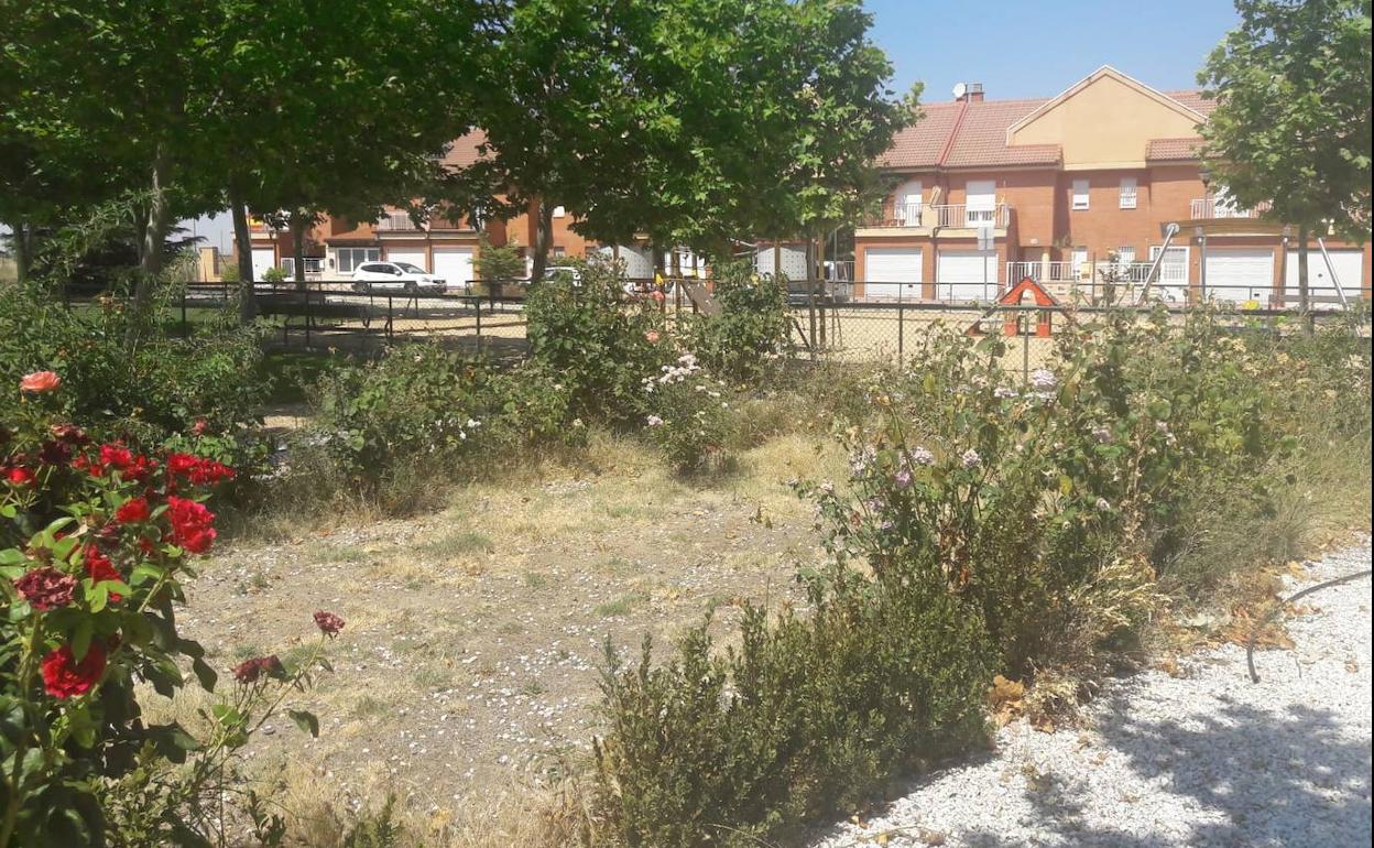 Jardines en mal estado en la urbanización Altos de Casttilla de Medina del Campo.