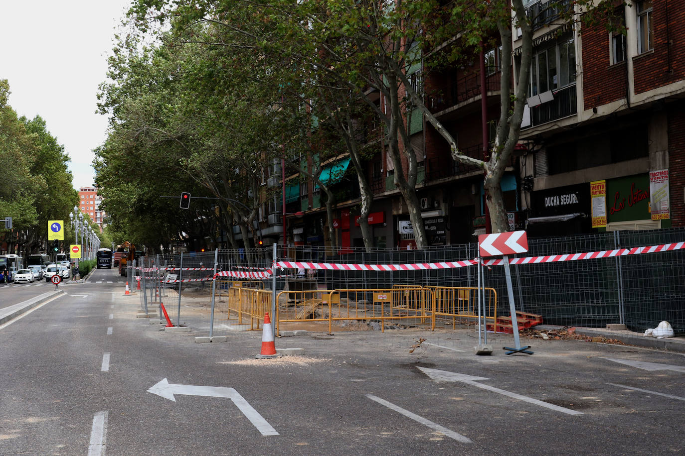 Trabajos en el Paseo de Zorrilla. 